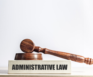 Administrative Law is exhibiting some flaws